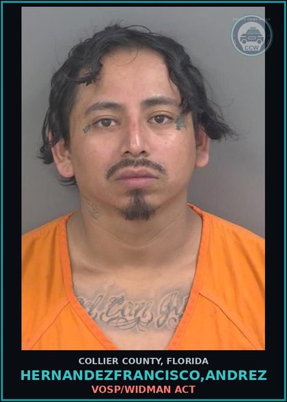 CCW arrest card for HERNANDEZFRANCISCO,ANDREZ in Collier County: VOSP/WIDMAN ACT