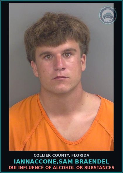 CCW arrest card for IANNACCONE,SAM BRAENDEL in Collier County: DUI INFLUENCE OF ALCOHOL OR DRUGS