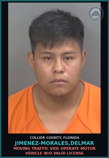CCW arrest card for JIMENEZ-MORALES,DELMAR in Collier County: MOVING TRAFFIC VIOL OPERATE MOTOR VEHICLE W/O VALID LICENSE