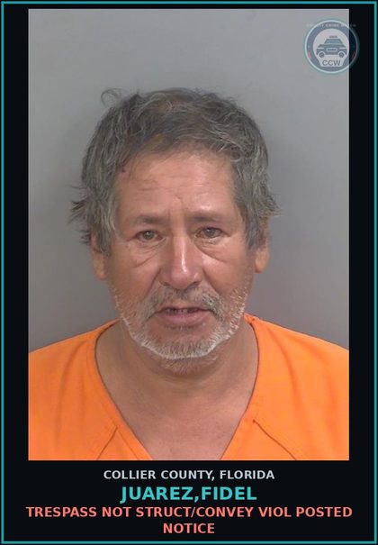 CCW arrest card for JUAREZ,FIDEL in Collier County: TRESPASS NOT STRUCT/CONVEY VIOL POSTED NOTICE