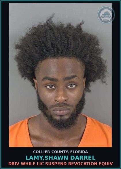 CCW arrest card for LAMY,SHAWN DARREL in Collier County: DRIV WHILE LIC SUSPEND REVOCATION EQUIV