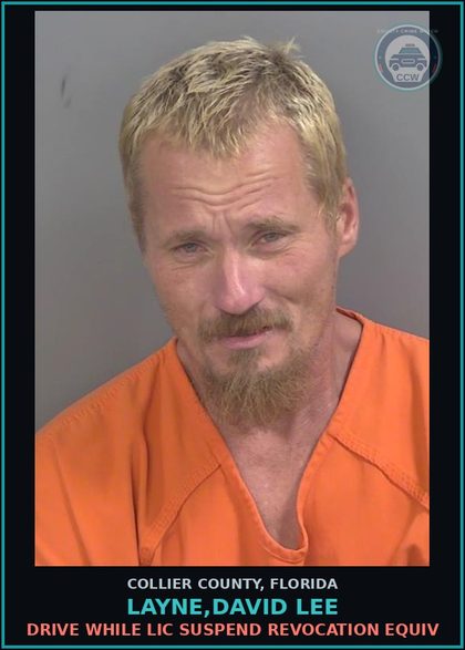 CCW arrest card for LAYNE,DAVID LEE in Collier County: DRIVE WHILE LIC SUSPEND REVOCATION EQUIV