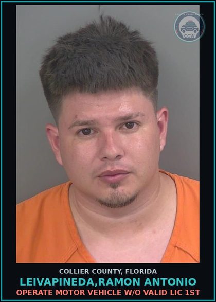 CCW arrest card for LEIVAPINEDA,RAMON ANTONIO in Collier County: OPERATE MOTOR VEHICLE W/O VALID LIC 1ST