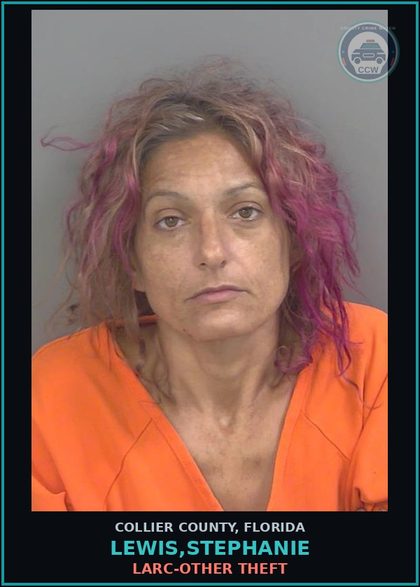 CCW arrest card for LEWIS,STEPHANIE in Collier County: LARC-OTHER THEFT