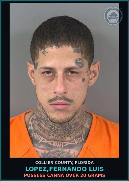 CCW arrest card for LOPEZ,FERNANDO LUIS in Collier County: POSSESS Canna OVER 20 GRAMS