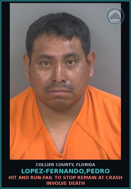 CCW arrest card for LOPEZ-FERNANDO,PEDRO in Collier County: HIT AND RUN-FAIL TO STOP REMAIN AT CRASH INVOLVE DEATH