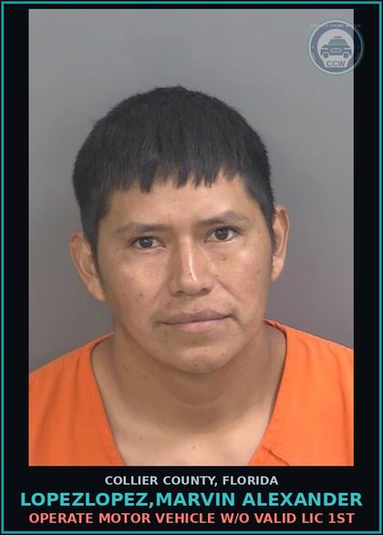 CCW arrest card for LOPEZLOPEZ,MARVIN ALEXANDER in Collier County: OPERATE MOTOR VEHICLE W/O VALID LIC 1ST