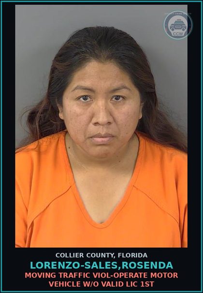 CCW arrest card for LORENZO-SALES,ROSENDA in Collier County: MOVING TRAFFIC VIOL-OPERATE MOTOR VEHICLE W/O VALID LIC 1ST