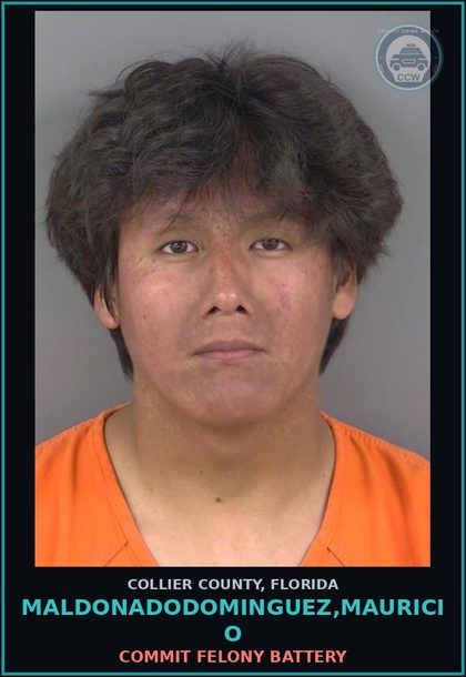CCW arrest card for MALDONADODOMINGUEZ,MAURICIO in Collier County: COMMIT FELONY BATTERY