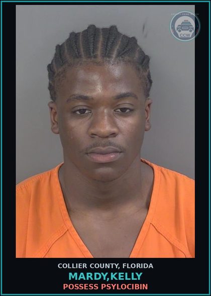 CCW arrest card for MARDY,KELLY in Collier County: POSSESS PSYLOCIBIN