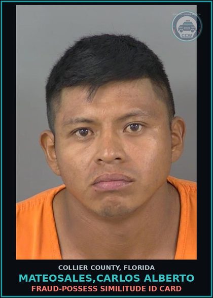 CCW arrest card for MATEOSALES,CARLOS ALBERTO in Collier County: FRAUD-POSSESS SIMILITUDE ID CARD