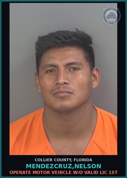 CCW arrest card for MENDEZCRUZ,NELSON in Collier County: OPERATE MOTOR VEHICLE W/O VALID LIC 1ST