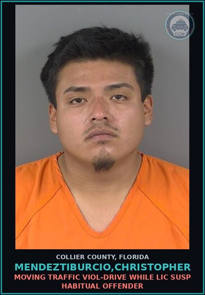CCW arrest card for MENDEZTIBURCIO,CHRISTOPHER in Collier County: MOVING TRAFFIC VIOL-DRIVE WHILE LIC SUSP HABITUAL OFFENDER