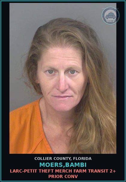 CCW arrest card for MOERS,BAMBI in Collier County: LARC-PETIT THEFT MERCH FARM TRANSIT 2+ PRIOR CONV