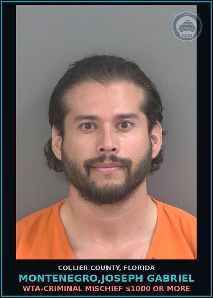 CCW arrest card for MONTENEGRO,JOSEPH GABRIEL in Collier County: WTA-CRIMINAL MISCHIEF $1000 OR MORE