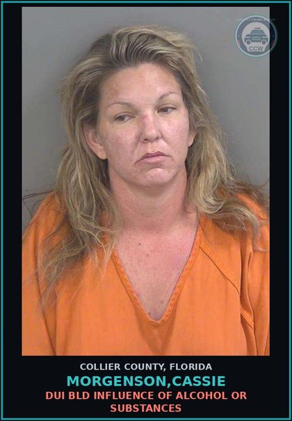 CCW arrest card for MORGENSON,CASSIE in Collier County: DUI BLD INFLUENCE OF ALCOHOL OR DRUGS