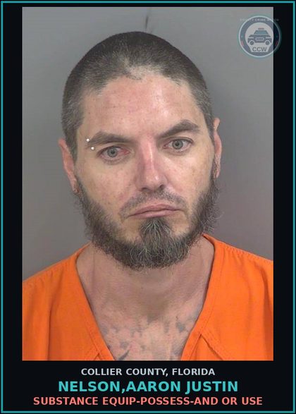 CCW arrest card for NELSON,AARON JUSTIN in Collier County: DRUG EQUIP-POSSESS-AND OR USE