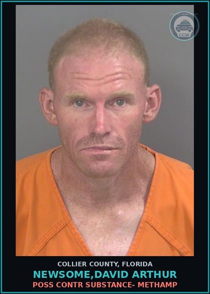 CCW arrest card for NEWSOME,DAVID ARTHUR in Collier County: POSS contr substance- Methamp