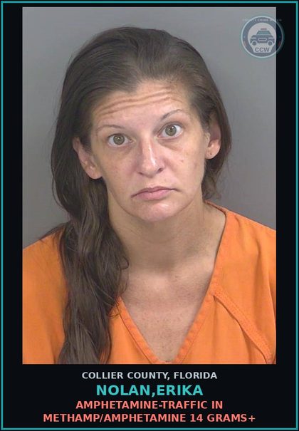 CCW arrest card for NOLAN,ERIKA in Collier County: AMPHETAMINE-TRAFFIC IN METH/AMPHETAMINE 14 GRAMS+