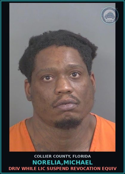 CCW arrest card for NORELIA,MICHAEL in Collier County: DRIV WHILE LIC SUSPEND REVOCATION EQUIV