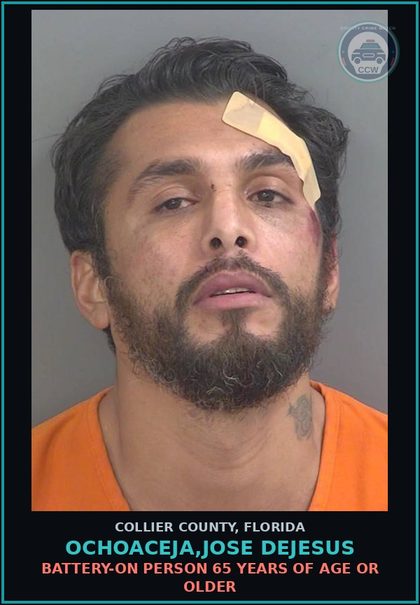 CCW arrest card for OCHOACEJA,JOSE DEJESUS in Collier County: BATTERY-ON PERSON 65 YEARS OF AGE OR OLDER