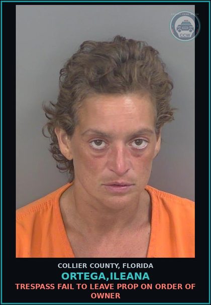 CCW arrest card for ORTEGA,ILEANA in Collier County: TRESPASS FAIL TO LEAVE PROP ON ORDER OF OWNER