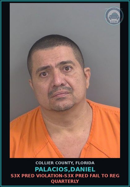 CCW arrest card for PALACIOS,DANIEL in Collier County: s3x PRED VIOLATION-s3x PRED FAIL TO REG QUARTERLY
