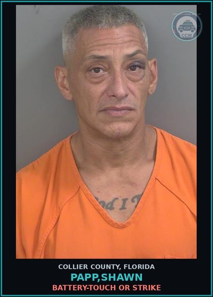 CCW arrest card for PAPP,SHAWN in Collier County: RESIST OFFICER-OBSTRUCT WO VIOLENCE
