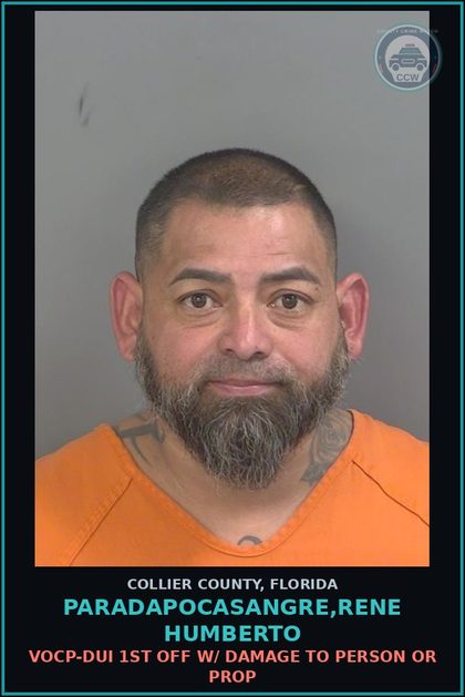 CCW arrest card for PARADAPOCASANGRE,RENE HUMBERTO in Collier County: VOCP-DUI 1ST OFF W/ DAMAGE TO PERSON OR PROP