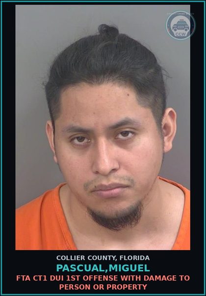 CCW arrest card for PASCUAL,MIGUEL in Collier County: FTA CT1 DUI 1ST OFFENSE WITH DAMAGE TO PERSON OR PROPERTY
