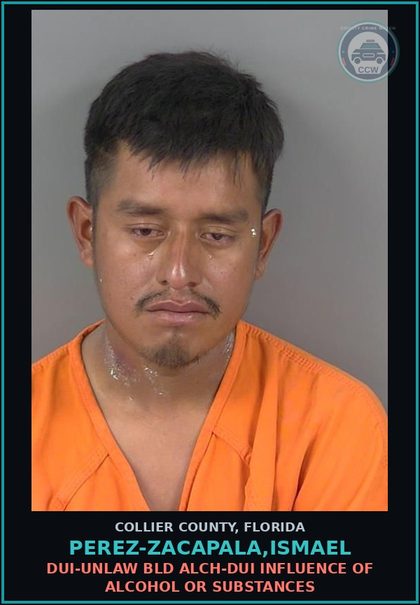 CCW arrest card for PEREZ-ZACAPALA,ISMAEL in Collier County: MOVING TRAFFIC VIOL-OPERATE VEHICLE EXCEED SPEED LIMIT 50+ M
