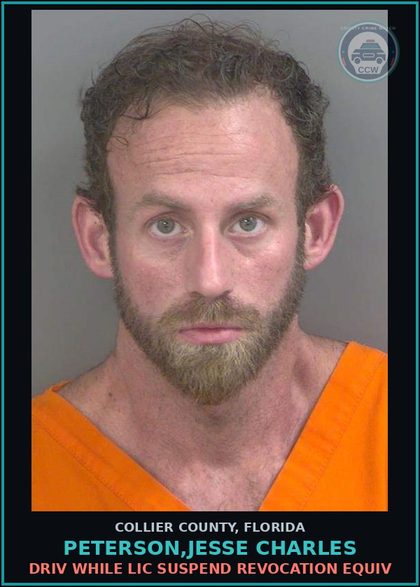 CCW arrest card for PETERSON,JESSE CHARLES in Collier County: DRIV WHILE LIC SUSPEND REVOCATION EQUIV