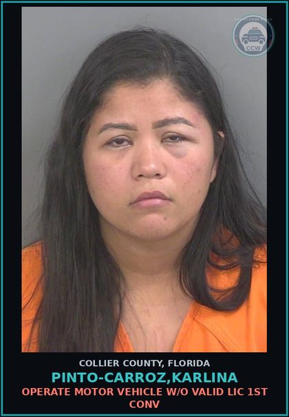 CCW arrest card for PINTO-CARROZ,KARLINA in Collier County: OPERATE MOTOR VEHICLE W/O VALID LIC 1ST CONV