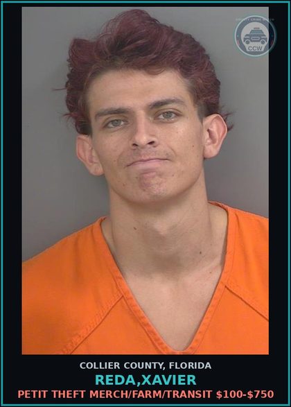CCW arrest card for REDA,XAVIER in Collier County: PETIT THEFT MERCH/FARM/TRANSIT $100-$750