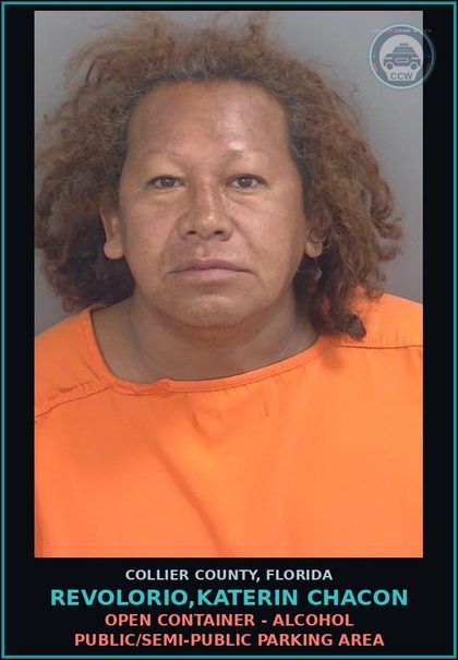 CCW arrest card for REVOLORIO,KATERIN CHACON in Collier County: OPEN CONTAINER - ALCOHOL PUBLIC/SEMI-PUBLIC PARKING AREA