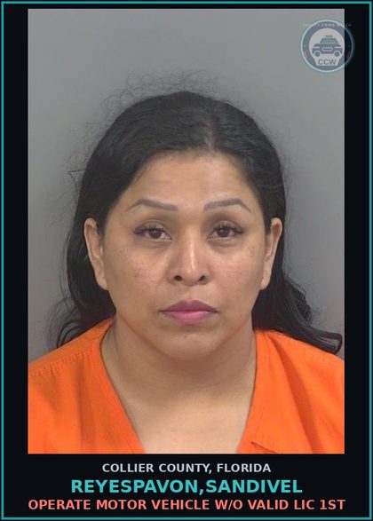 CCW arrest card for REYESPAVON,SANDIVEL in Collier County: OPERATE MOTOR VEHICLE W/O VALID LIC 1ST