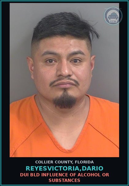 CCW arrest card for REYESVICTORIA,DARIO in Collier County: DUI BLD INFLUENCE OF ALCOHOL OR DRUGS