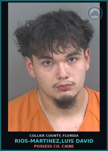 CCW arrest card for RIOS-MARTINEZ,LUIS DAVID in Collier County: POSSESS COCAINE