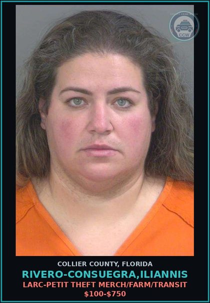 CCW arrest card for RIVERO-CONSUEGRA,ILIANNIS in Collier County: LARC-PETIT THEFT MERCH/FARM/TRANSIT $100-$750