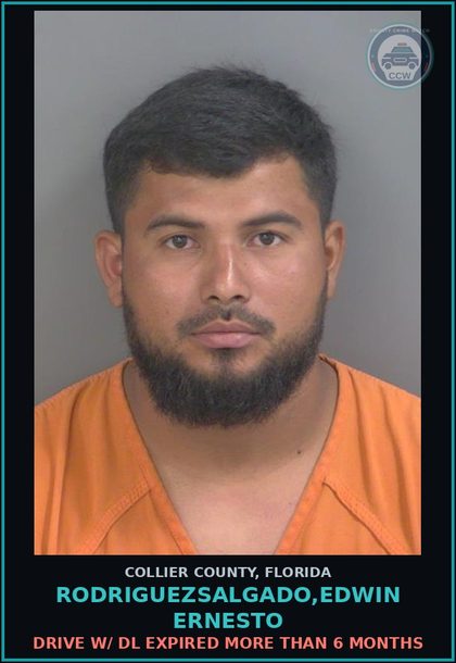 CCW arrest card for RODRIGUEZSALGADO,EDWIN ERNESTO in Collier County: DRIVE W/ DL EXPIRED MORE THAN 6 MONTHS