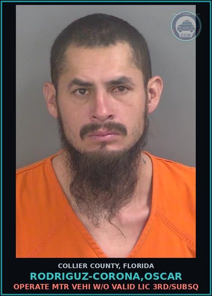 CCW arrest card for RODRIGUZ-CORONA,OSCAR in Collier County: OPERATE MTR VEHI W/O VALID LIC 3RD/SUBSQ