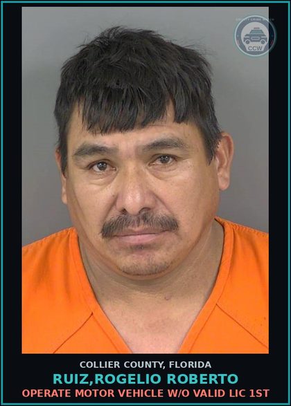CCW arrest card for RUIZ,ROGELIO ROBERTO in Collier County: OPERATE MOTOR VEHICLE W/O VALID LIC 1ST