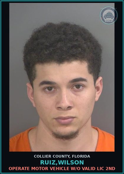 CCW arrest card for RUIZ,WILSON in Collier County: OPERATE MOTOR VEHICLE W/O VALID LIC 2ND
