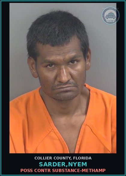 CCW arrest card for SARDER,NYEM in Collier County: POSS contr substance-Methamp