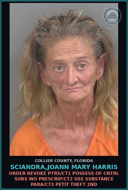 CCW arrest card for SCIANDRA,JOANN MARY HARRIS in Collier County: ORDER REVOKE PTRS/CT1 POSSESS OF CNTRL SUBS WO PRESCRIP/CT2 USE DRUG PARA/CT3 PETIT THEFT 2ND