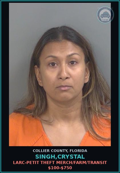 CCW arrest card for SINGH,CRYSTAL in Collier County: LARC-PETIT THEFT MERCH/FARM/TRANSIT $100-$750