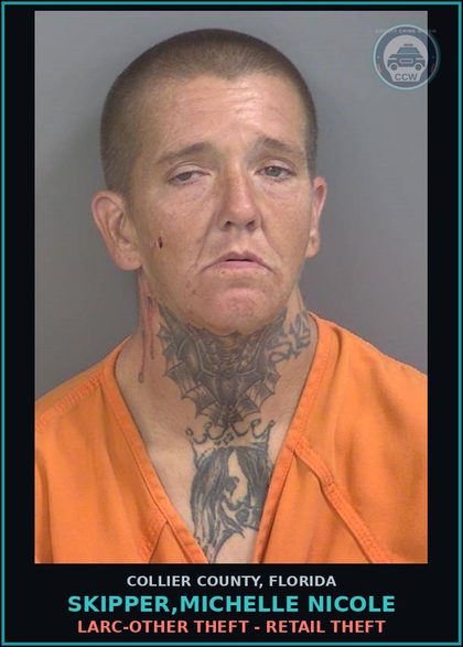 CCW arrest card for SKIPPER,MICHELLE NICOLE in Collier County: LARC-OTHER THEFT - RETAIL THEFT