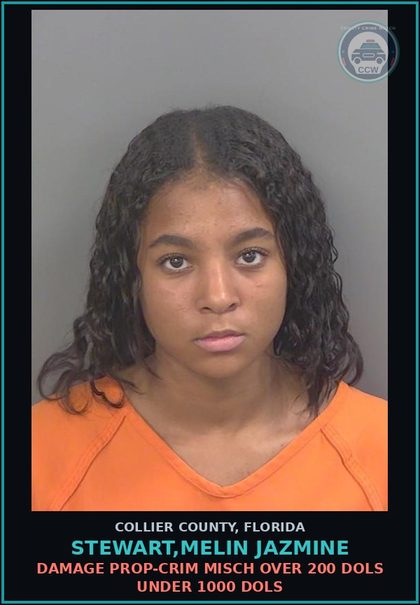 CCW arrest card for STEWART,MELIN JAZMINE in Collier County: DAMAGE PROP-CRIM MISCH OVER 200 DOLS UNDER 1000 DOLS