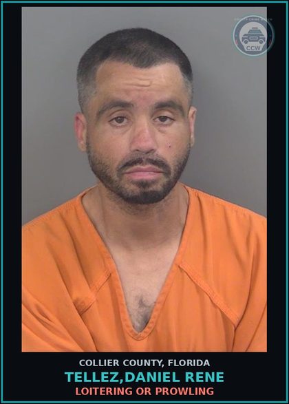 CCW arrest card for TELLEZ,DANIEL RENE in Collier County: LOITERING OR PROWLING