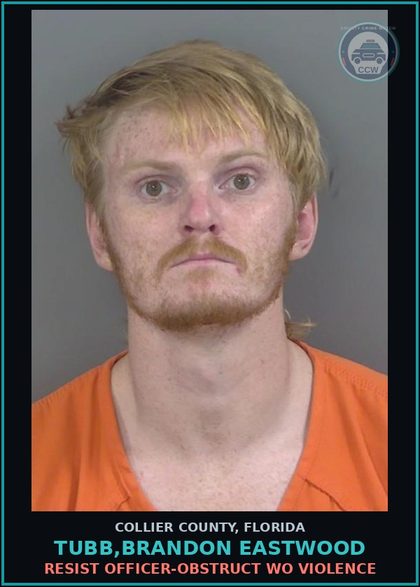 CCW arrest card for TUBB,BRANDON EASTWOOD in Collier County: RESIST OFFICER-OBSTRUCT WO VIOLENCE